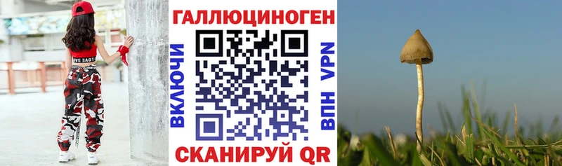 Псилоцибиновые грибы мицелий  Шуя 